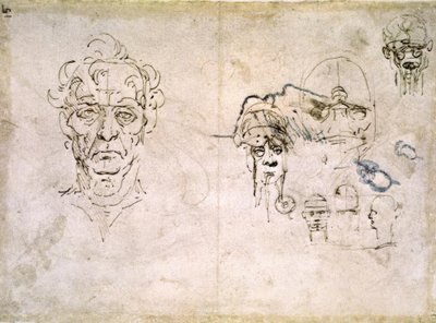 Anatomy Studies by Leonardo da Vinci